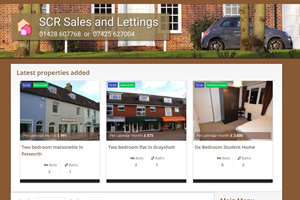 Cost effective website design and hosting Surrey Hampshire